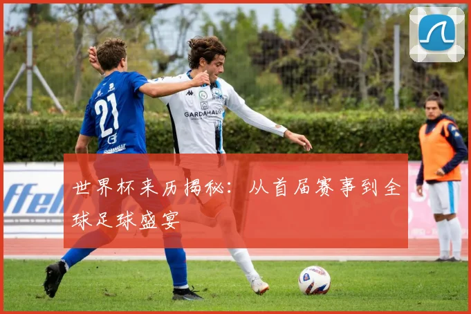 世界杯来历揭秘:从首届赛事到全球足球盛宴
