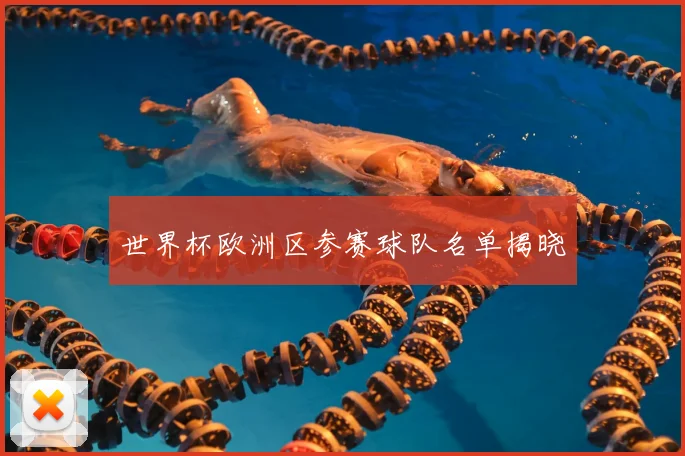 世界杯欧洲区参赛球队名单揭晓