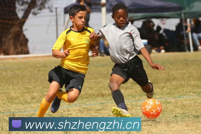 欧宝网页版登录入口 - 欧宝中国平台生态图