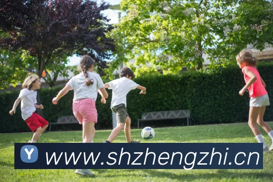 欧宝网页版登录入口 - 欧宝中国全站App 欧宝网页版登录入口 - 欧宝中国全站App